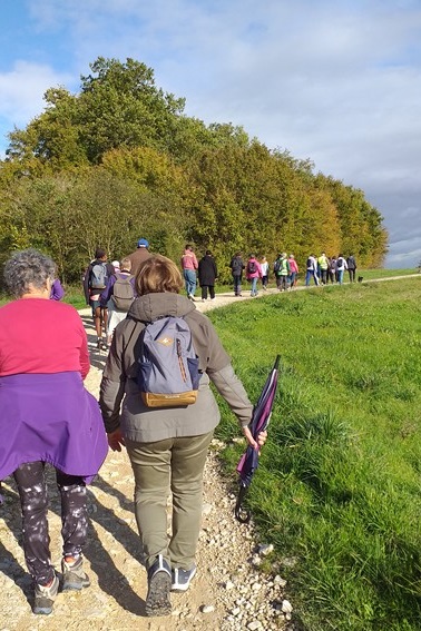 Animation 26-10-2025  : marche de 5 km dans Linars Octobre rose